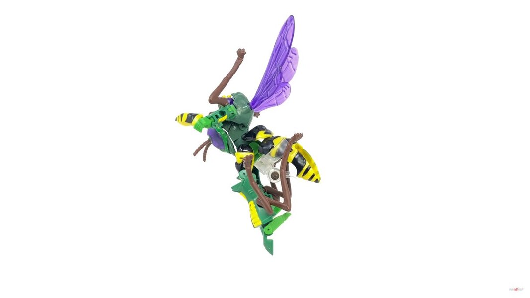 Transformers Kingdom Deluxe Class Waspinator  (12 of 28)